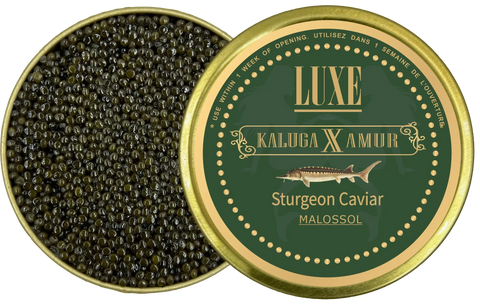 Kaluga Amur Caviar