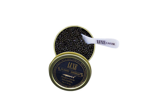 Close up of traditional Siberian Sturgeon Caviar pearls