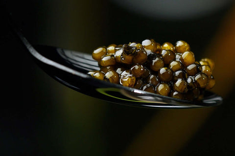 Glossy Royal Ossetra Sturgeon Caviar pearls in close up