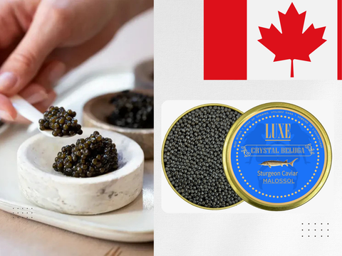 Buy Caviar Online Canada
