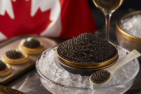 Black Caviar Price in Canada 2026: The Complete Buyer's Guide