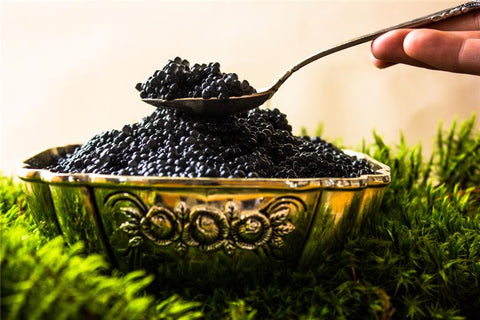 Black Caviar Price in Canada What You Need to Know