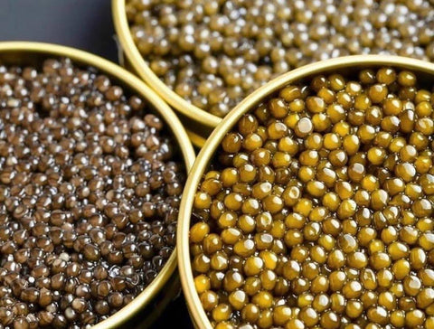 What Fish Does Black Caviar Come From? A Complete Guide for Caviar Lovers