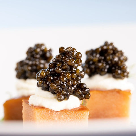 What Fish Does Caviar Come From? Tracing the Origins Back to Sturgeon