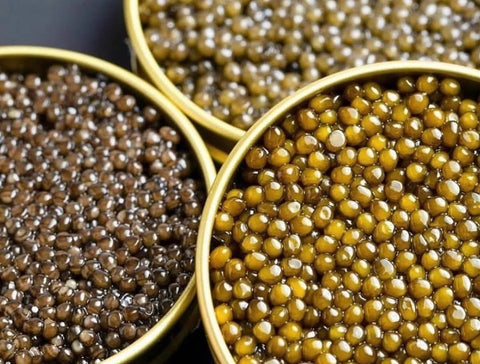 Where to Buy the Freshest Caviar in Toronto (and Online Options That Deliver Fast)