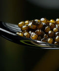 Glossy Royal Ossetra Sturgeon Caviar pearls in close up